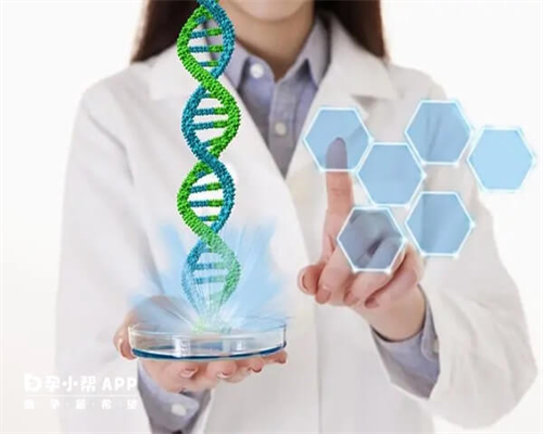 试管助孕费用明细与选择指南
