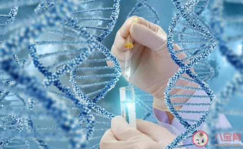 如何孕育优质健康宝宝的科学指南