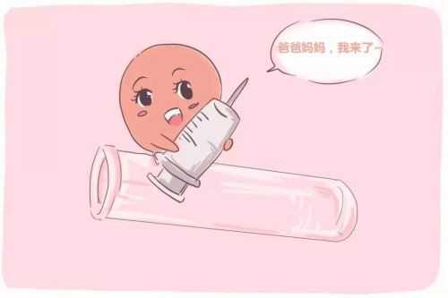 江苏助孕宝宝营养餐桌:包心菜饭食谱分享