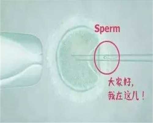 助孕宝宝补钙指南：选择最适合的钙剂