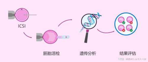 江苏助孕宝宝牙齿护理常见问题解答