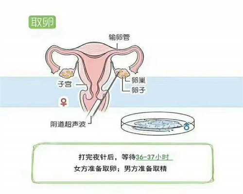 青岛正规供精人工授精医院推荐与代生咨询指南