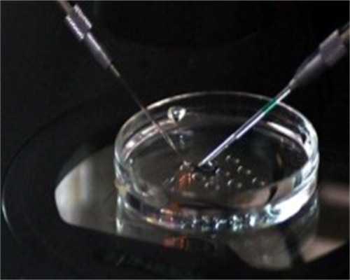 江苏七个月代生宝宝奶量需求与辅食添加指南