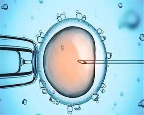 婴幼儿积食问题全面解析:症状、危害与应对策略