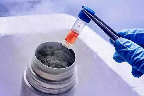 江苏助孕宝宝药物过敏判断指南与应对措施