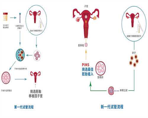 <b>江苏13个月助孕宝宝发育标准与育儿指南</b>