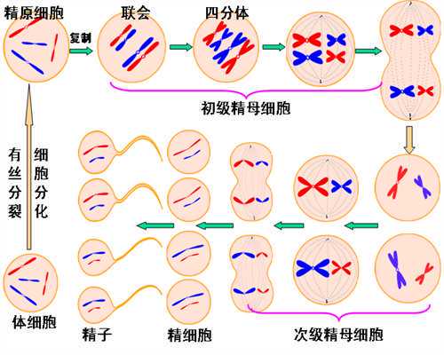 江苏助孕宝宝消化不良缓解方法及代生咨询建议
