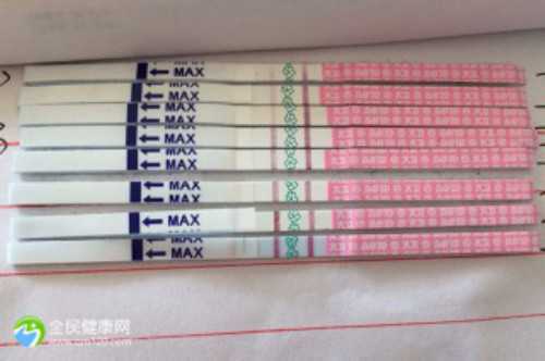 <b>2026青岛试管助孕医院权威排名与详细名单解析</b>