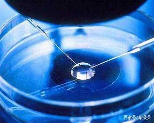 优质胚胎移植失败原因解析与助孕策略