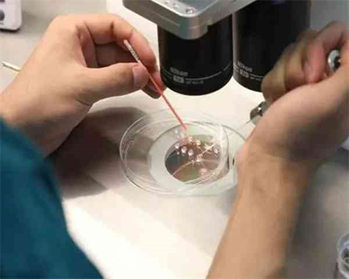秋季宝宝便秘症状识别与家庭护理全攻略