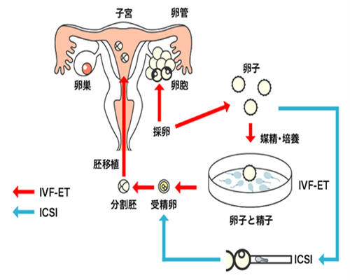 江苏助孕宝宝夏季手口足病预防与护理指南