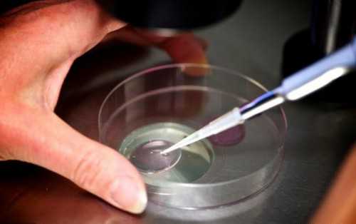 青岛试管助孕经历分享：赴泰试管婴儿常见问题解析与促排方案差异原因