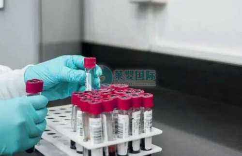 江苏助孕宝宝喂药指南:家长实用技巧分享