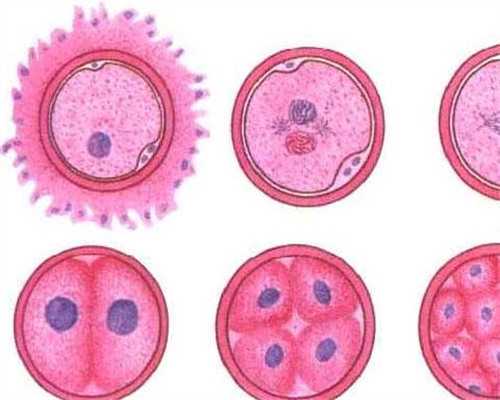 北京中度盆腔炎如何高效治疗？守护女性生育健康的关键策略