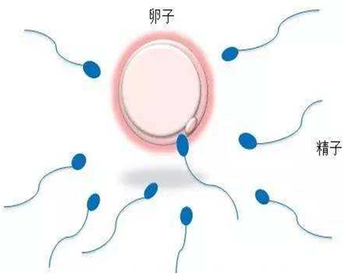 江苏供精助孕宝宝不像爸爸怎么办？如何应对外貌疑虑与家庭和谐