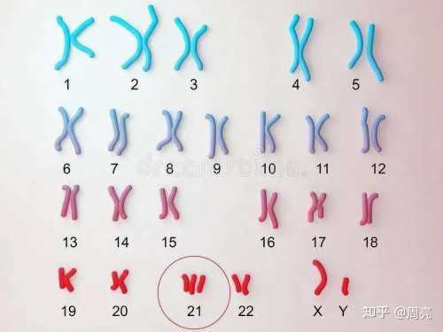 宝宝反复湿疹是过敏体质吗？湿疹反复发作的应对策略