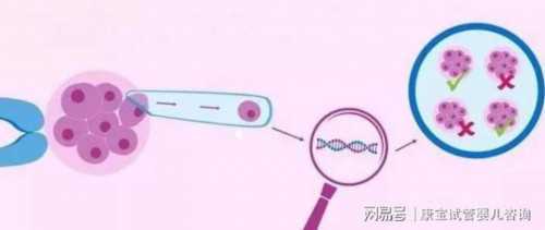 青岛目前有哪几家医院能进行供卵试管助孕技术?青岛试管婴儿医院有哪几家