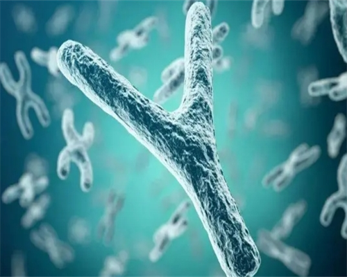 如何科学预测胎儿性别？方法与注意事项